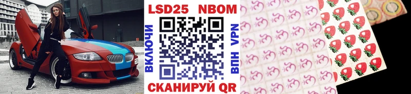 дарнет шоп  Жердевка  Марки NBOMe 1500мкг 